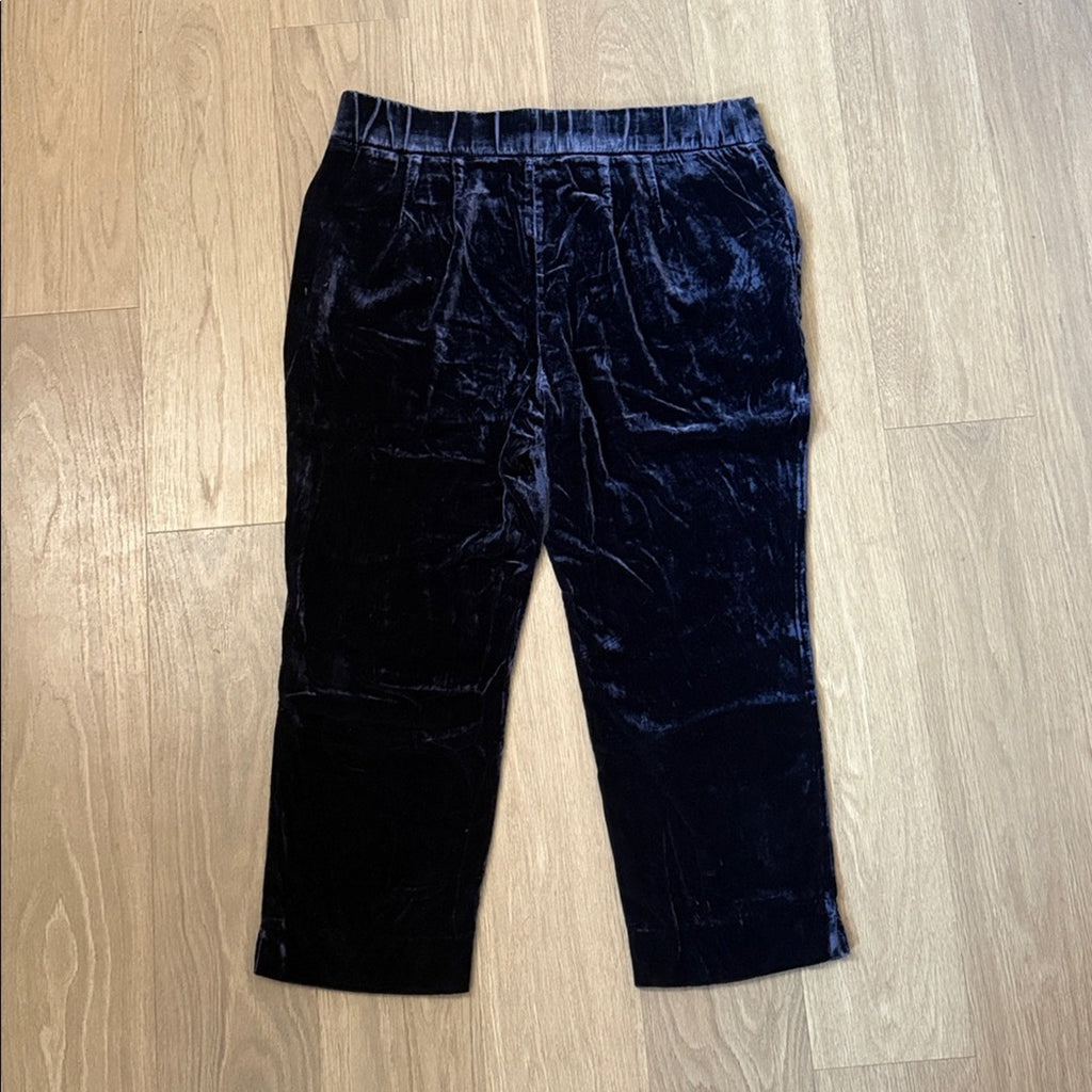 NWT Talbots Midnight Blue Velvet Pants Size 16 Petite