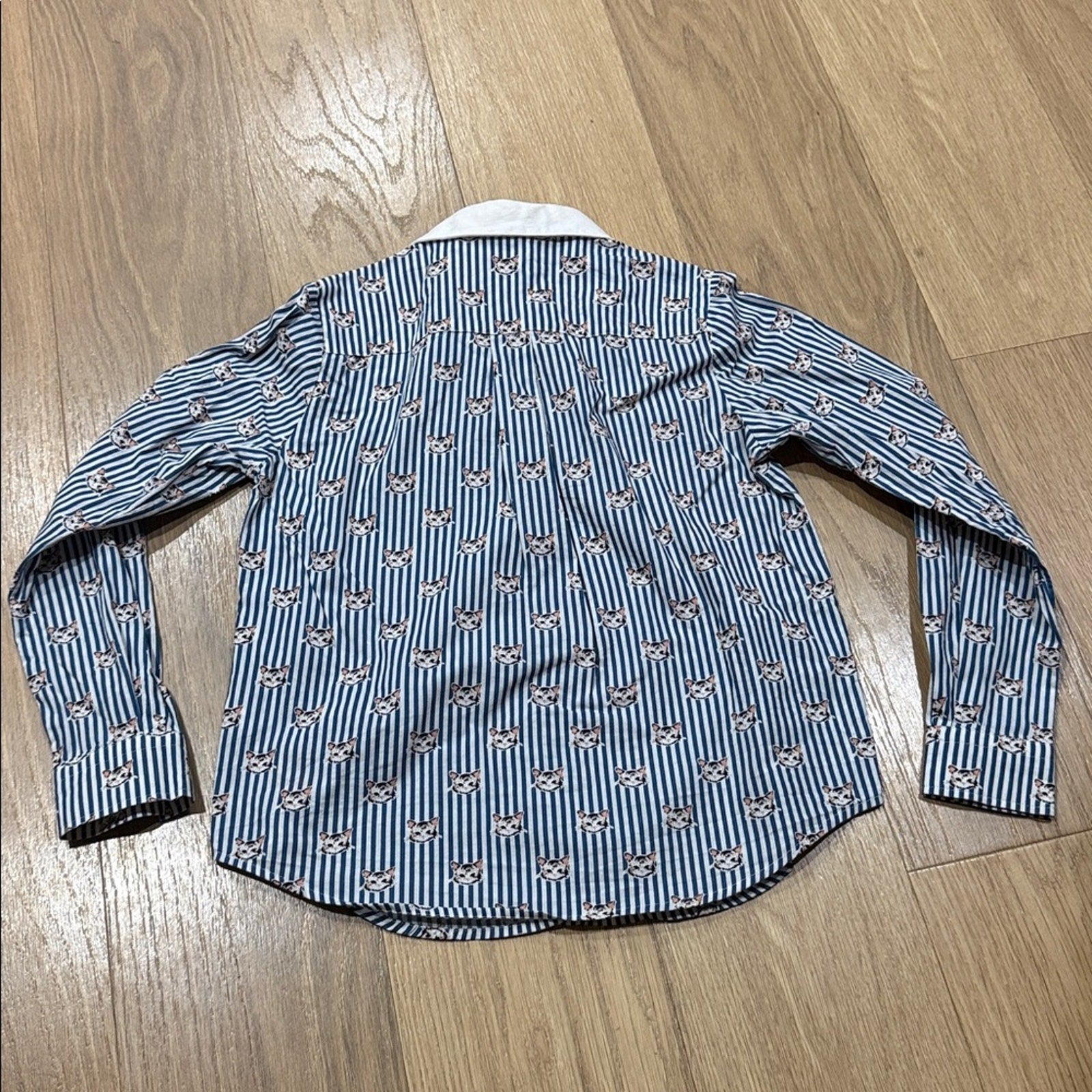 Little Karl Marc John Blue Striped Cat Graphic Button Down Shirt Size 10