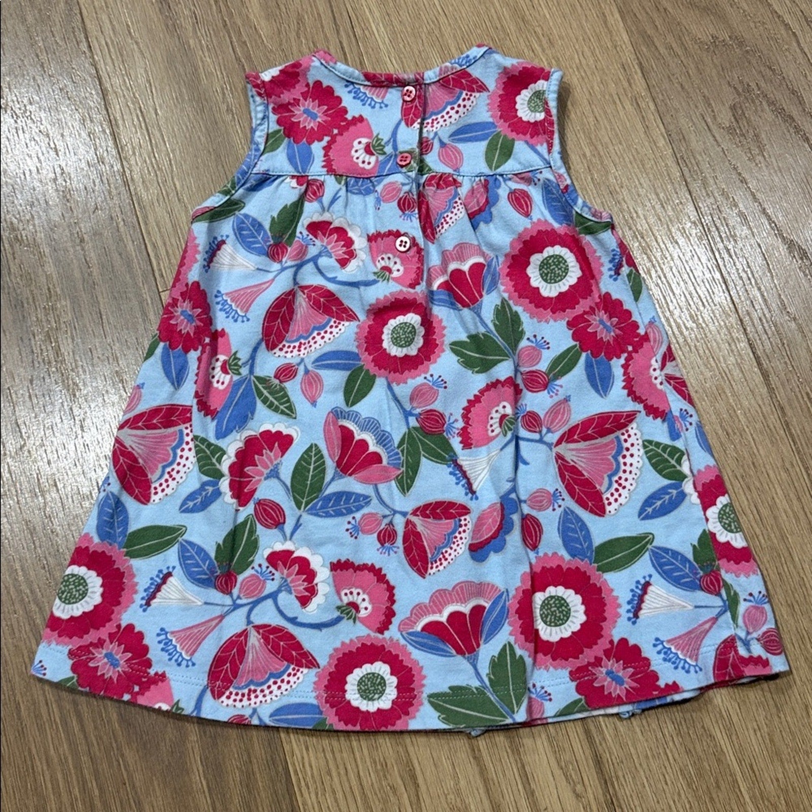 Angel Dear Floral Ruffle Dress - Blue and Red Size 6-12 Months