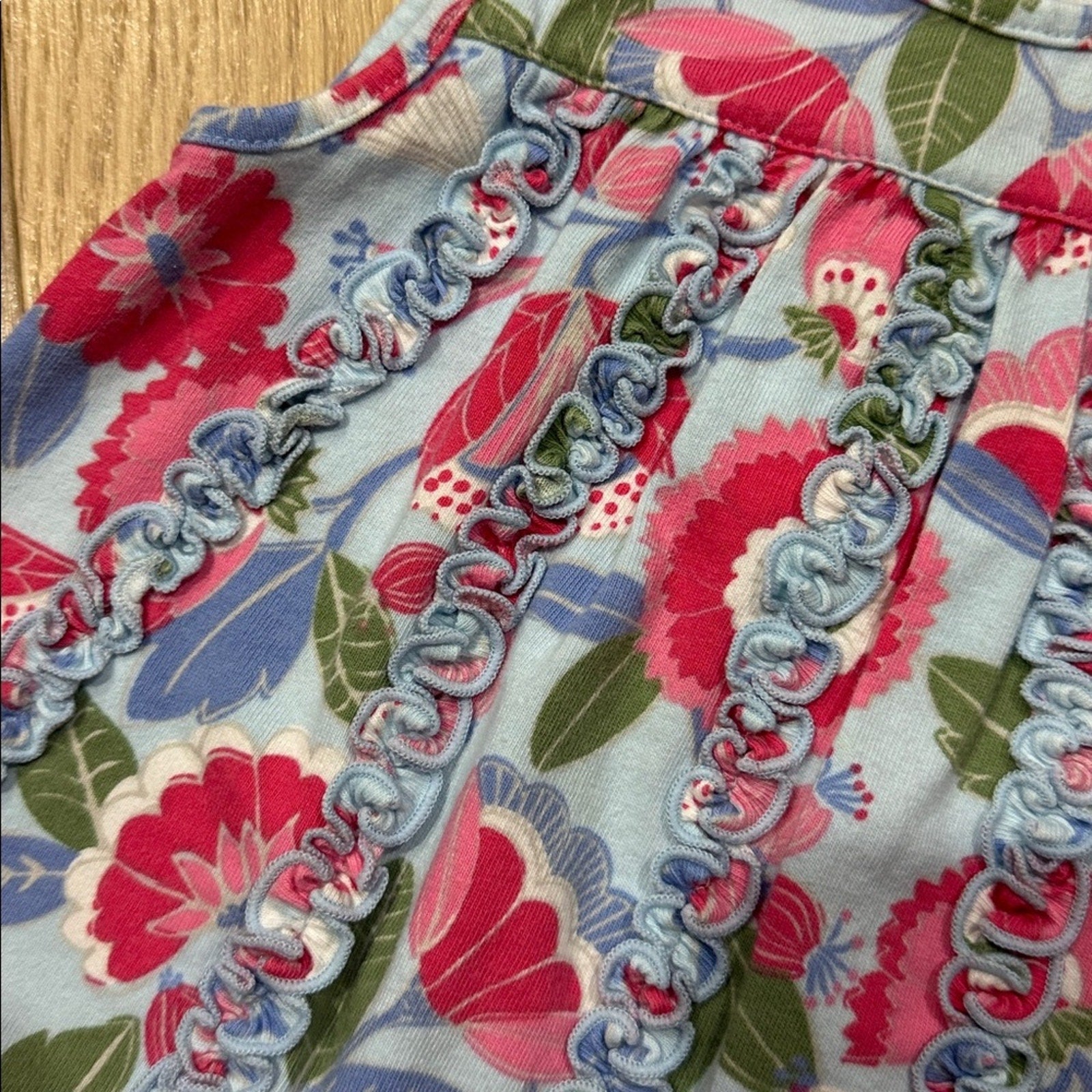 Angel Dear Floral Ruffle Dress - Blue and Red Size 6-12 Months